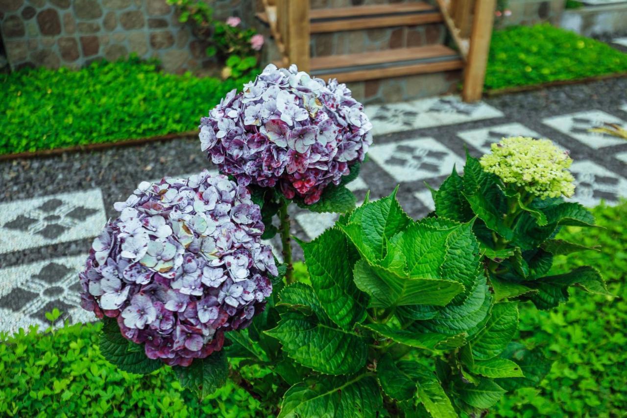 The Polumb Garden Bedugul Ξενοδοχείο Selemadeg Εξωτερικό φωτογραφία